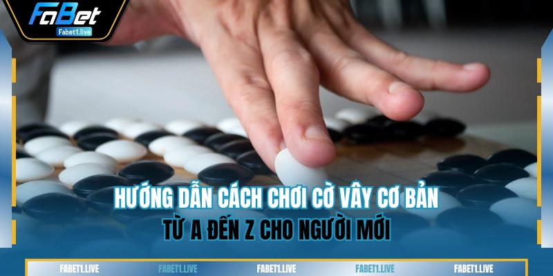Hướng Dẫn Cách Chơi Cờ Vây Cơ Bản Từ A Đến Z Cho Người Mới